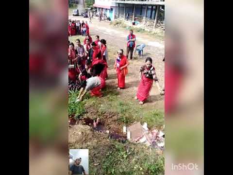 download lagu mp3 mp4 Imlf, download lagu Imlf gratis, unduh video klip Imlf