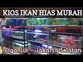 Jual Makanan Ikan Hias Jakarta Selatan