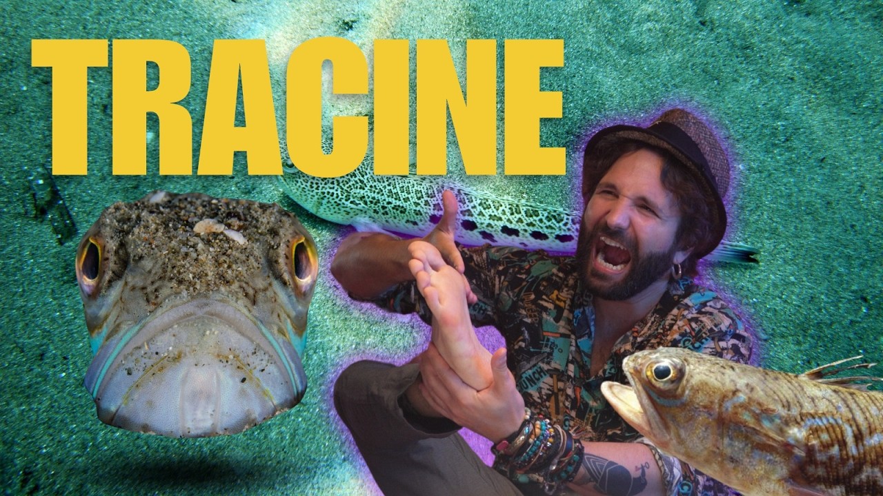 L'INCUBO DEI BAGNANTI