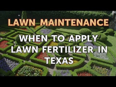 download lagu mp3 mp4 When Is The Best Time To Fertilize Grass In Texas, download lagu When Is The Best Time To Fertilize Grass In Texas gratis, unduh video klip When Is The Best Time To Fertilize Grass In Texas