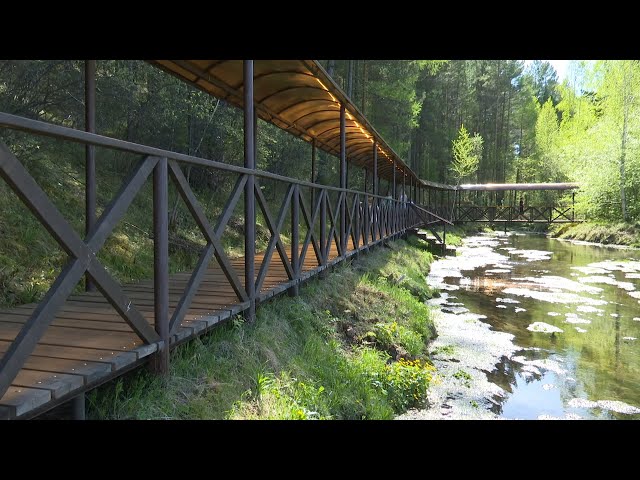 Путь к минеральным источникам открыт