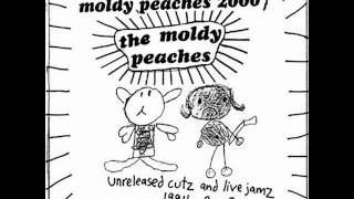 The Moldy Peaches - Downloading Porn With Davo