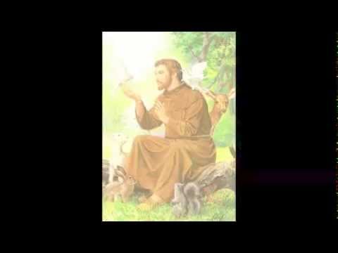 Oito Séculos Se Passaram - Walter Guimarães