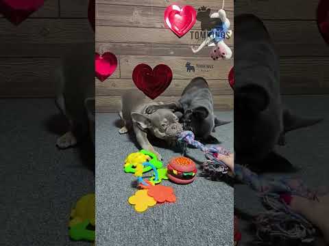 Video 1