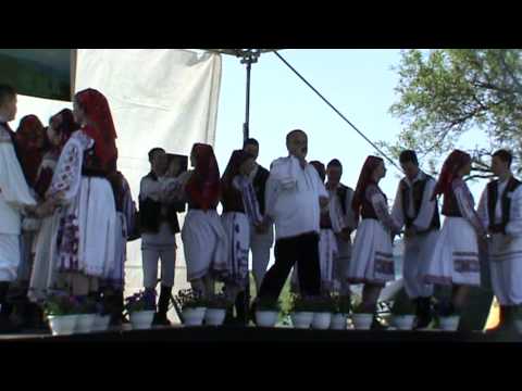 Viorel BORDEA - live - intalnirea motilor la Tisa Noua