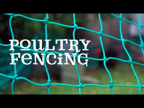 , title : 'Poultry Fencing - Free range chickens in your backyard!'