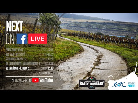 RALLY HUNGARY 2020 - SS16 KOKAPU - UJHUTA 2