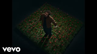 Tommaso Paradiso - I Romantici