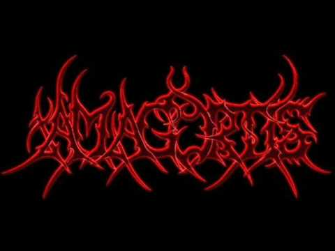 The Ultimate Brutal Death Metal/Goregrind/Porngrind Compilation Part 3