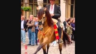 Spanish Horses Live
