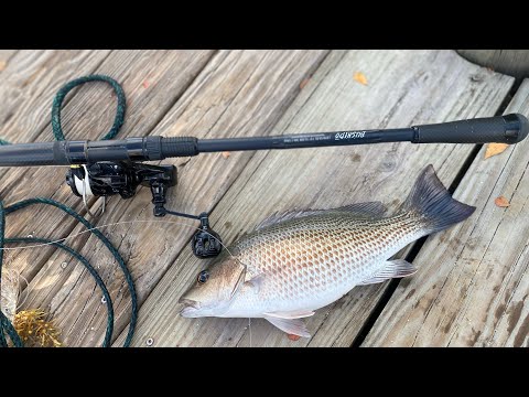 Fishing Docks for Mangrove Snapper on YouTube