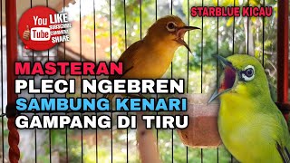Download lagu MASTERAN PLECI NGEBREN SAMBUNG KENARI PANJANG || COCOK BUAT DAKBAL,BANYUWANGI DLL mp3 Download lagu MASTERAN PLECI NGEBREN SAMBUNG KENARI PANJANG || COCOK BUAT DAKBAL,BANYUWANGI DLL mp3