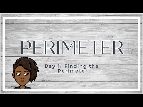 Math Lesson: Perimeter Day 1
