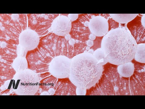 Fecal Transplants for Aging and Weight Loss