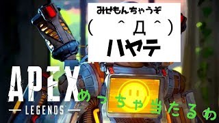 Apex ロングボウ強い