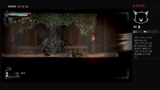 ＃5【salt and sanctuary】LEMONed　初見