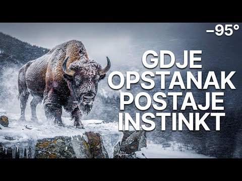 EKSTREMNA ZIMA U RUSIJI | Borba za Opstanak na -95°C u Apsolutnoj Hladnoći – Dokumentarac