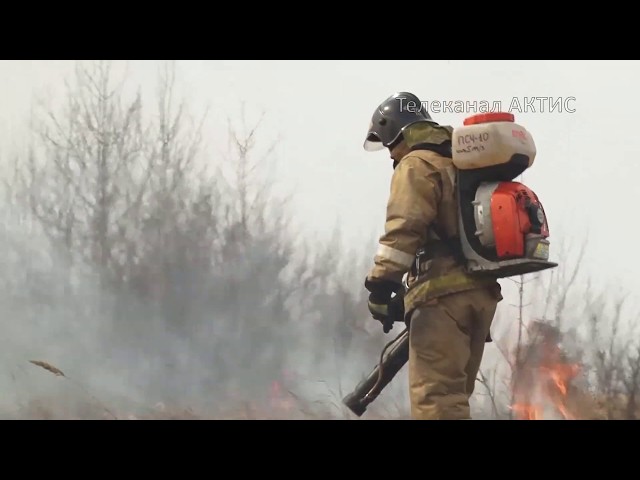 Пожарные жгут сухостой