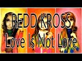 REDD KROSS - Love Is Not Love (Lyric Video)