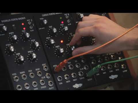 Noise Engineering: Cursus Iteritas Magnus [Moog Format] image 2