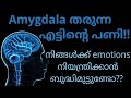 Amygdala Hijack in Malayalam | How to Control Our Emotions? Techniques to Prevent Amygdala Hijack