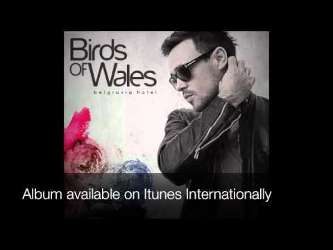 Birds of Wales - 'White Dress' (2010)