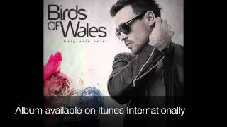 Birds of Wales - 'White Dress' (2010)