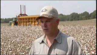 Cotton Harvest in Alabama: America's Heartland Series
