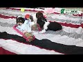 Dachshund dogs for sale: Holly - Video 1