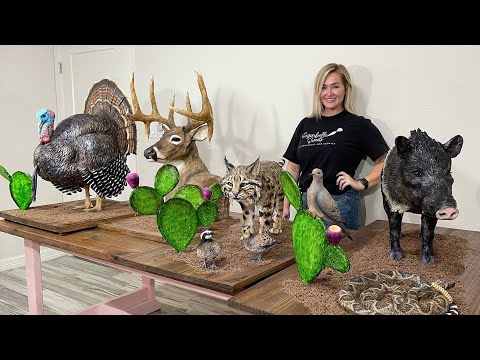 The Texas Bucket List - Sugarbelle Sweets in Corpus Christi