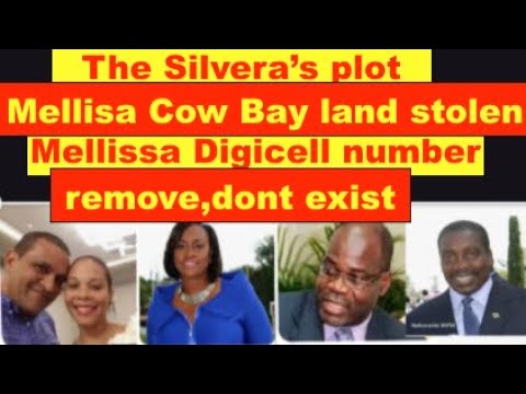 The Silvera's plot , Mellisa Cow Bay Land stolen, her Digi cell number erase, don't exist.