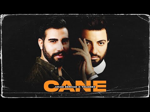 Taladro x Aram Serhad - Canê | Tiktok Kurdish Mix (Prod. Jiyan Beats)