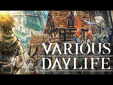 Gameplay de VARIOUS DAYLIFE