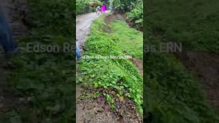 El Barrancon Estancia Nueva Moca la calle se esta abriendo