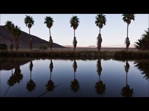 Three ‘N One pres. Johnny Shaker vs. Aluna - Reflect Of My Life (Myon & Shane 54 Mashup)