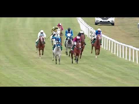 WATHBA STALLIONS CUP - BATH RACECOURSE - 03 May 021