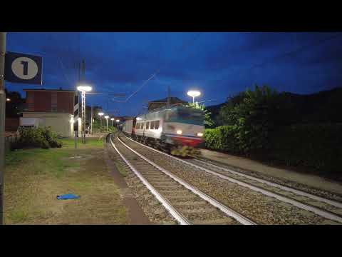 L'ultimo dei... CAIMANI!!!!@