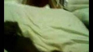 Ein Marder in Teppich Esser