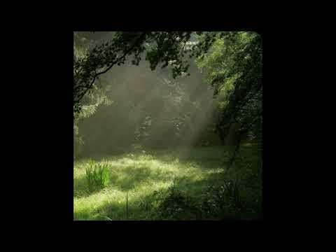 Comfort Chain | Istupendo (but even more magical)