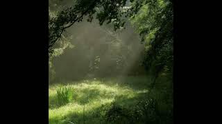 Download lagu Comfort Chain | Istupendo (but even more magical) mp3