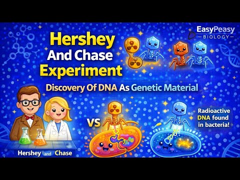 Hershey And Chase Experiment | Discovery Of DNA As Genetic Material