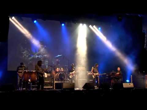 Bernard Allison - Avignon Blues Festival 2011