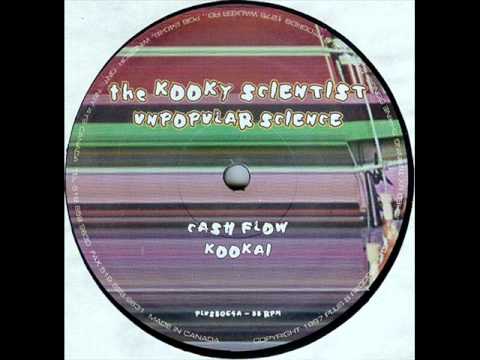 the Kooky Scientist - cash flow