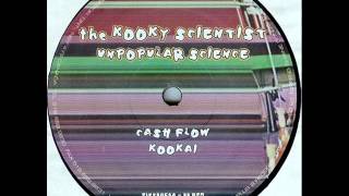 the Kooky Scientist - cash flow