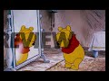 Many Adventures Of Winnie The Pooh 1977 Sample ️HD ️