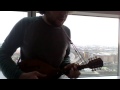 Mandolin Cover - Packing Blankets by Eels