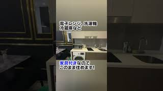 夜のツインタワーも見れる！KL中心地にあるウィークリー・マンスリーのコンドミニアムをご紹介！#shorts #malaysia #kualalumpur #マレーシア #海外移住 #コンドミニアム