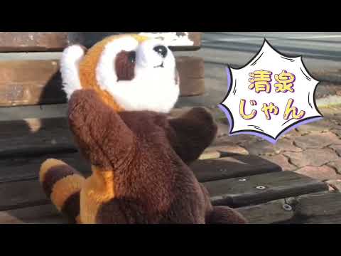 【清泉女学院大学】学校紹介動画〔国際コム学生制作2022〕