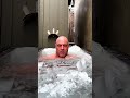 Joe Rogan explaining the benefits of a cold shower