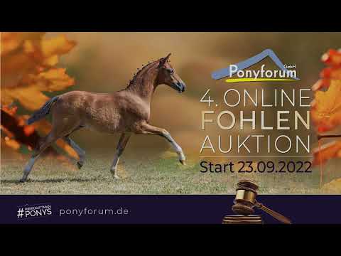 Nis Puk L Hengst 21.04.2022 v. Neverland WE / Keerlke